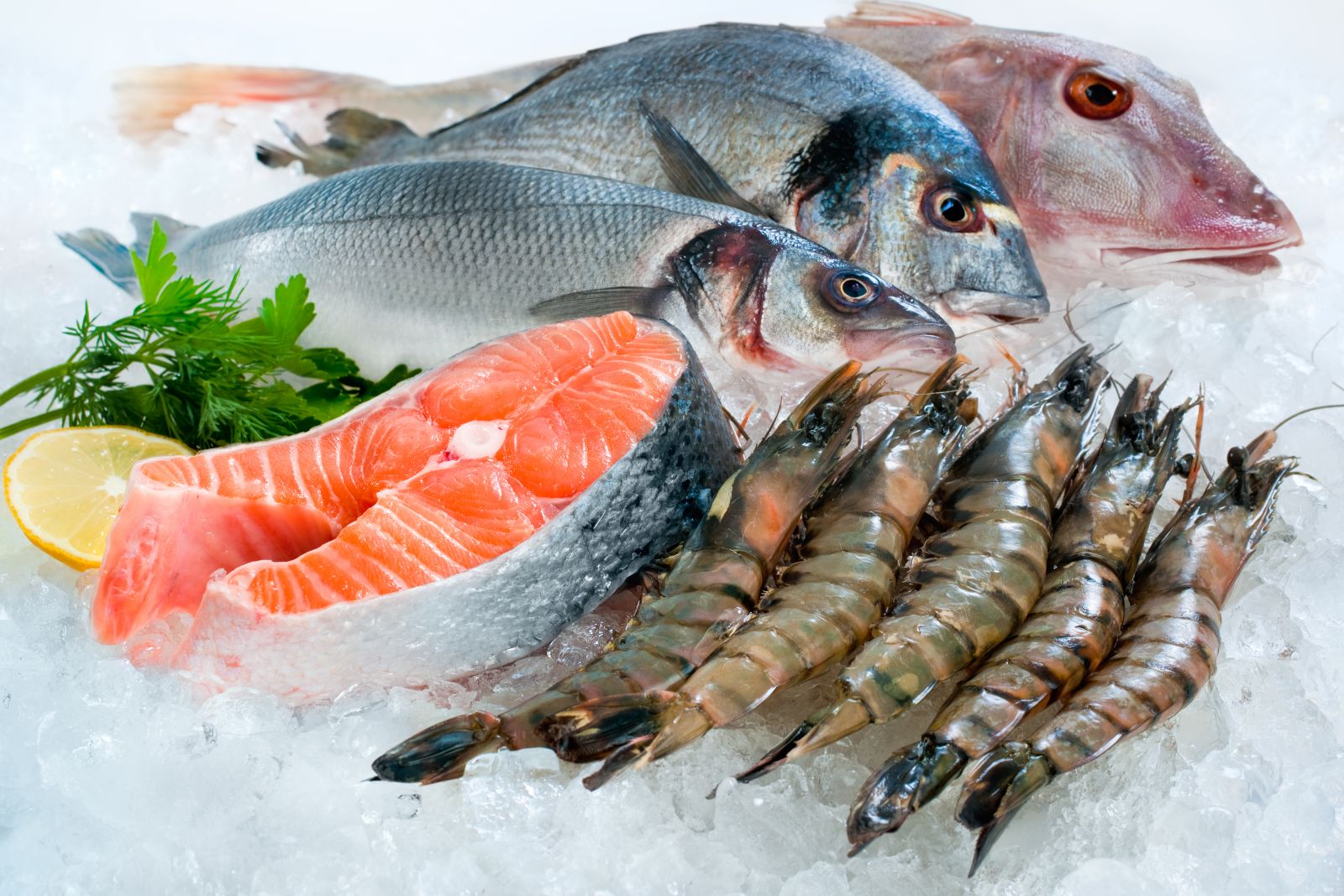 Bệnh tiểu đường ăn cá và hải sản được không?