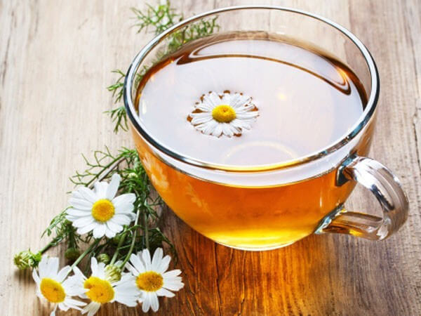 7 Loại trà thảo dược tuyệt vời dành cho người bệnh tiểu đường 7