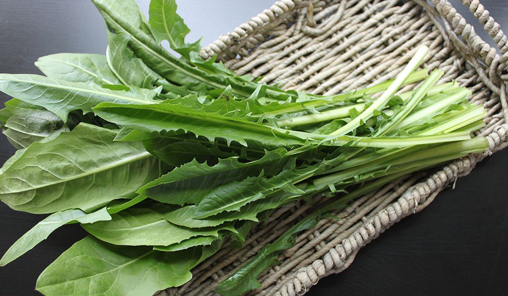 dandelion greens