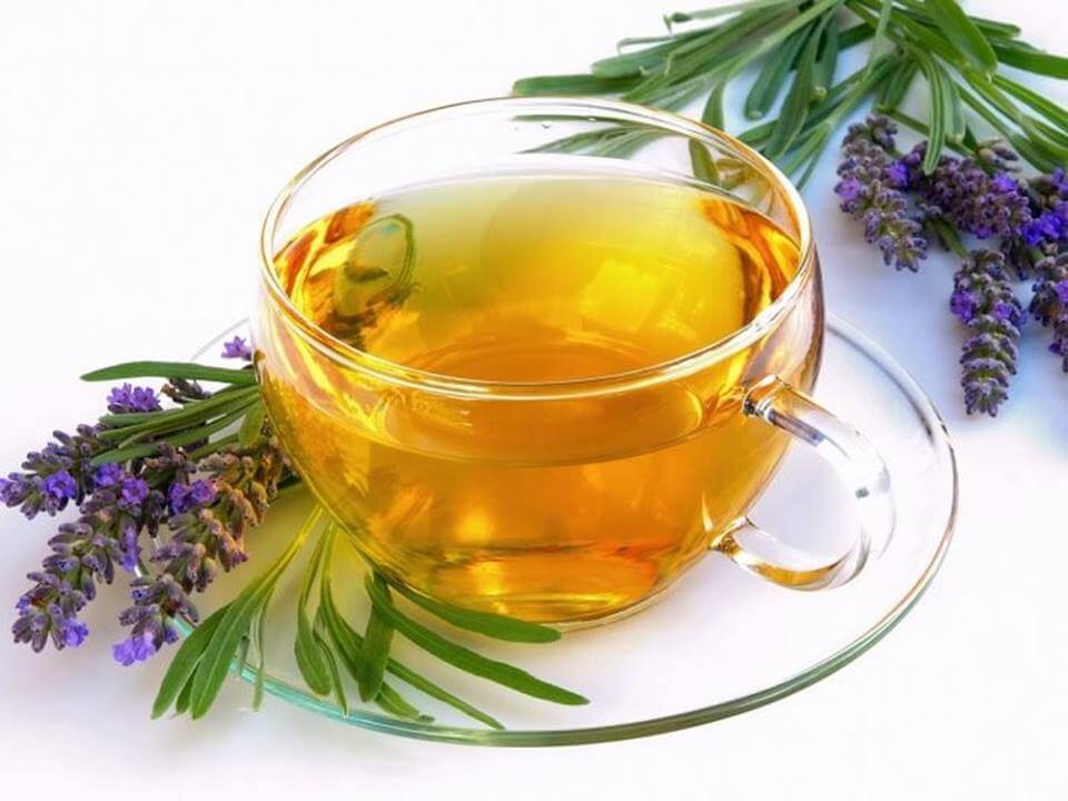 Top 10 trà giúp ngủ ngon ngủ sâu hơn tốt nhất 2020 4