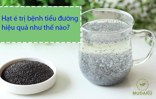 Hạt é trị bệnh tiểu đường hiệu quả