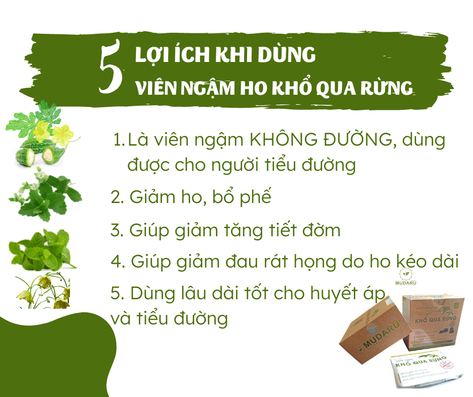 LỢI ÍCH KHI DÙNG VIÊN NGẬM HO KHỔ QUA RỪNG