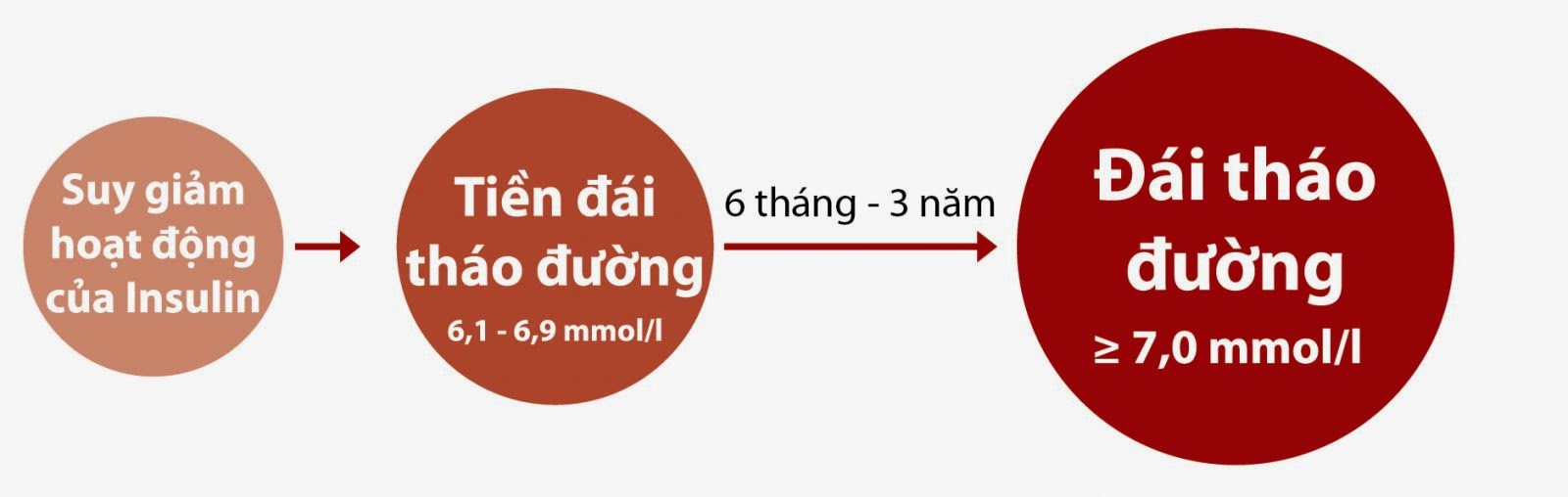 Có hay không bệnh tiểu đường tuýp 3?