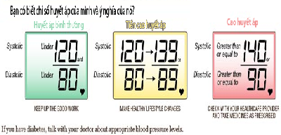 Chỉ số huyết áp theo độ tuổi là bao nhiêu | KHỔ QUA RỪNG MUDARU