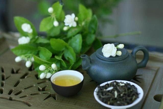 Lợi ích tuyệt vời của trà xanh đối với sức khỏe | KHỔ QUA RỪNG MUDARU