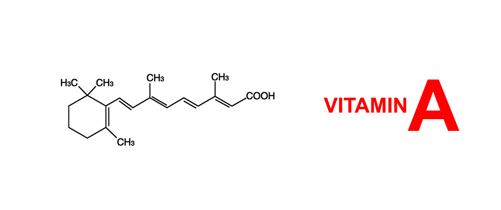 Cấu trúc phân tử của Vitamin A