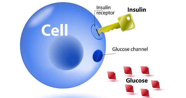 khang insulin co nguy co mac benh tieu duong