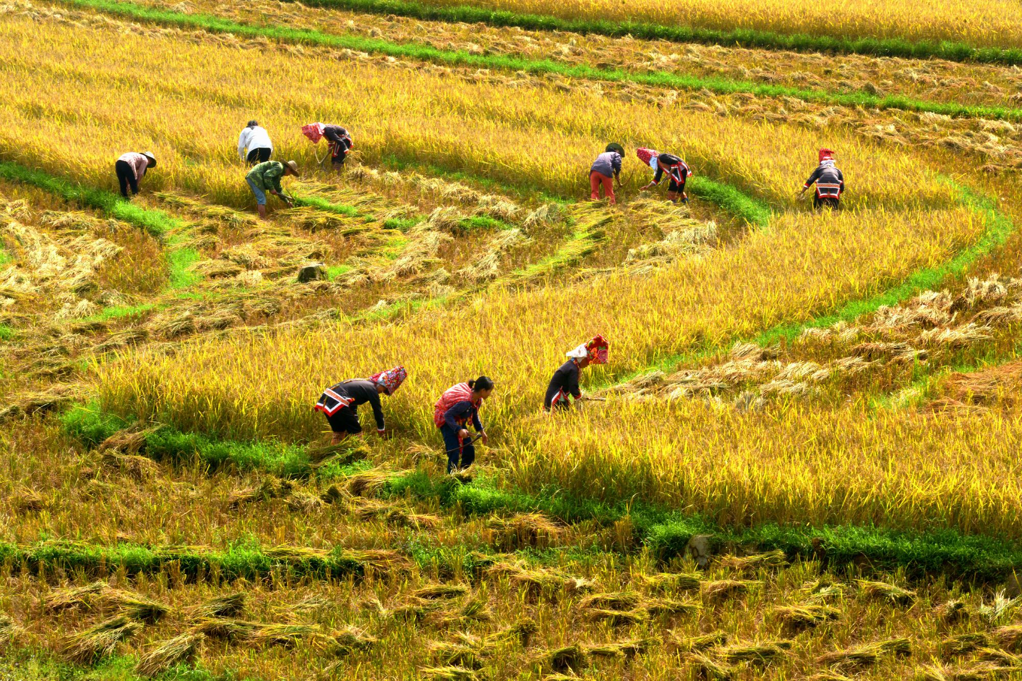 vi sao nguoi dan thanh pho de mac benh tieu duong hon o nong thon1