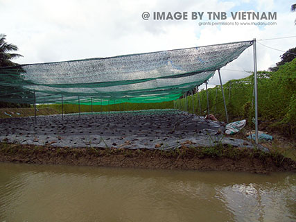 Vùng nguyên liệu