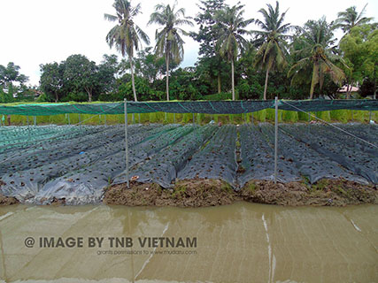 Vùng nguyên liệu