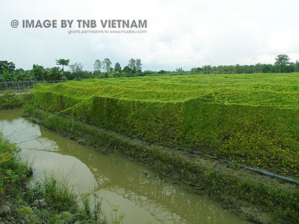 Vùng nguyên liệu